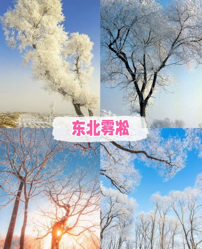 东北五日游最佳路线 旅游攻略超全指南爱游戏app体育东北5日游必打卡景点(图2)